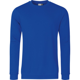 Sweatshirt 2199