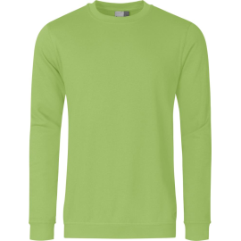 Sweatshirt 2199