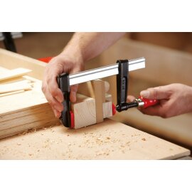 Temperguss-Schraubzwinge TPN-BE 600/175