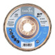 1 Stück Fächerscheibe SLTT universal 125 mm ZK 40