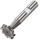 Schlitzfräser D850D K HSSE 16,5 x 5,0 mm Fortis