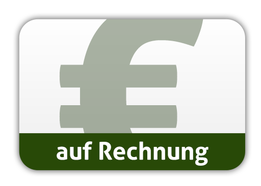 Zahlen per Rechnung als Behörde